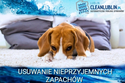 Usuwanie nieprzyjemnych zapachów.
